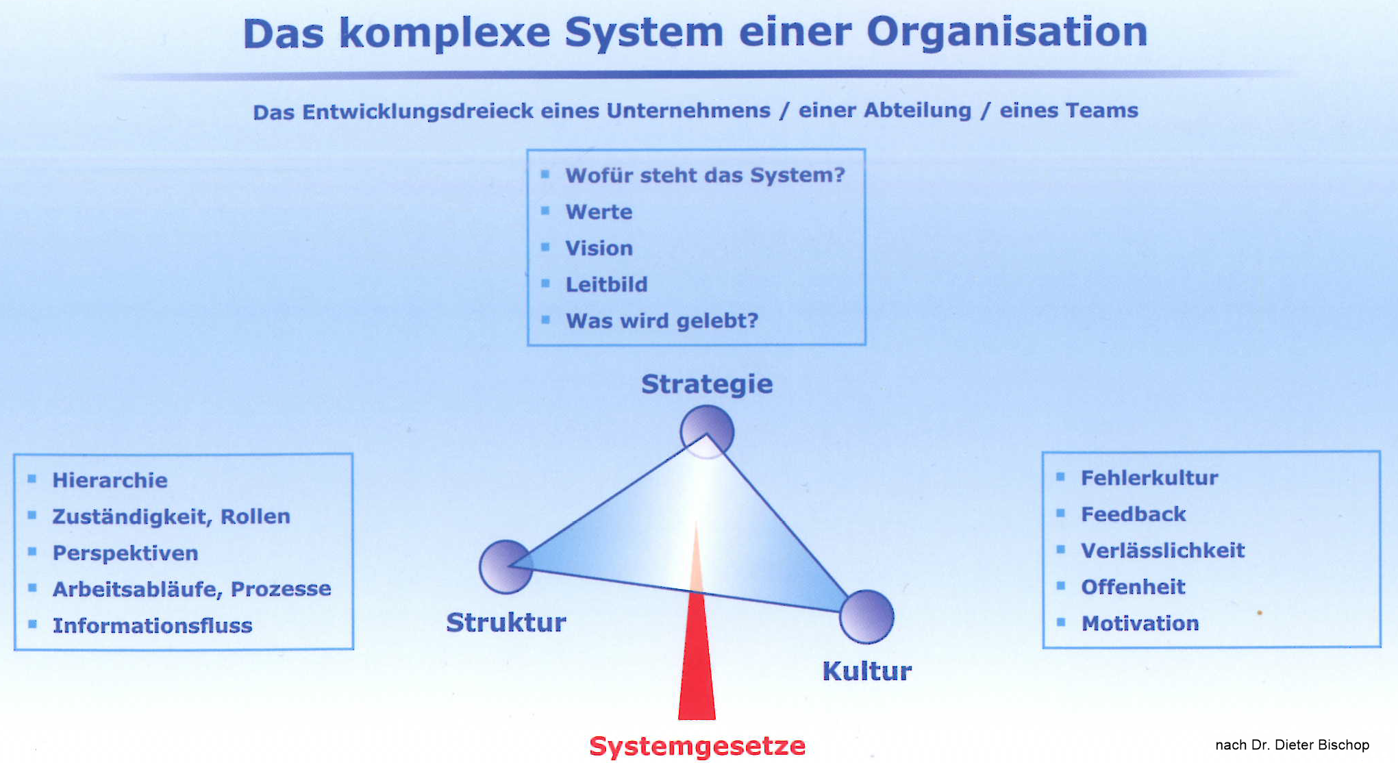 Das komplexe System einer Organisation